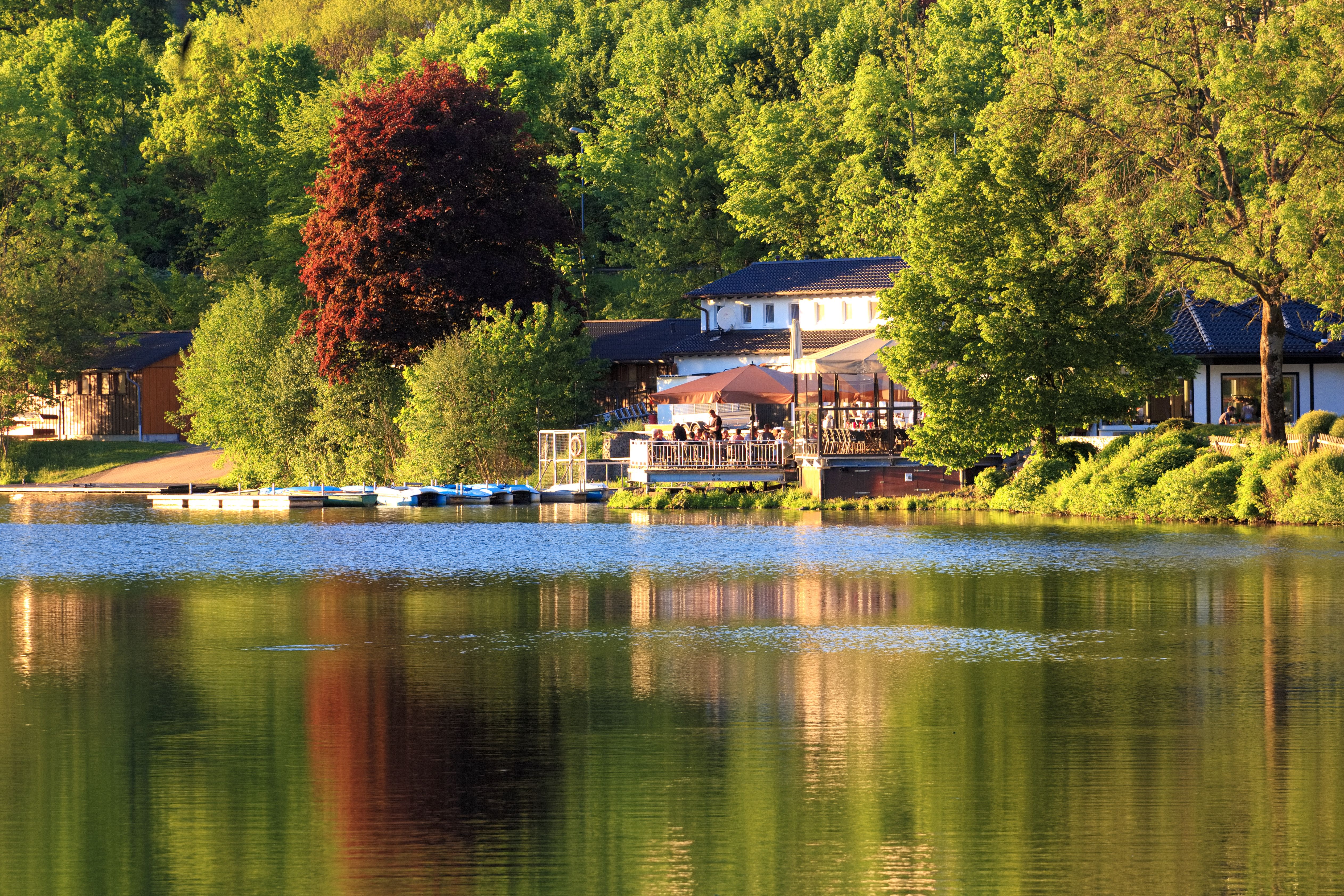 Stausee Losheim, Saarland